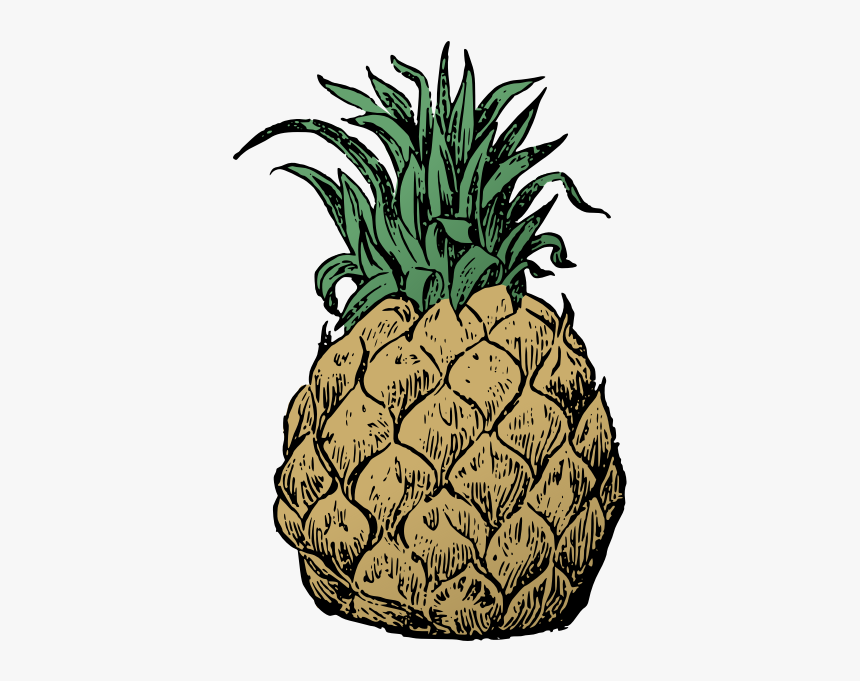 Pineapple, HD Png Download, Free Download