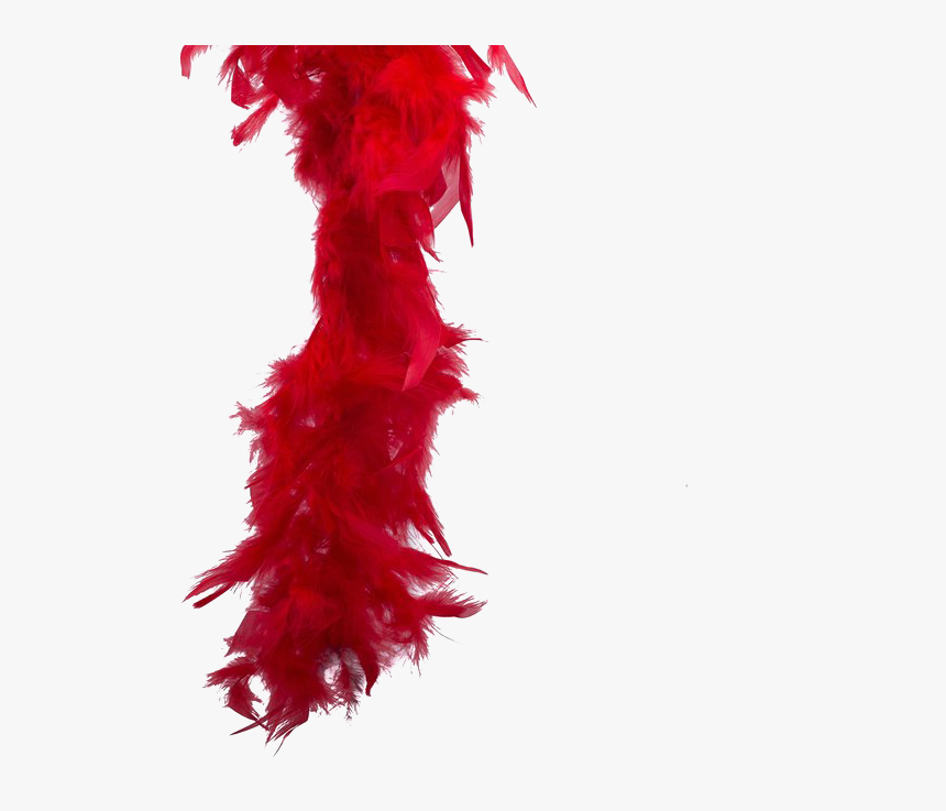 Feather-boa - Feather Boa Transparent, HD Png Download, Free Download