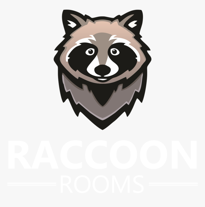 Raccoon, HD Png Download, Free Download