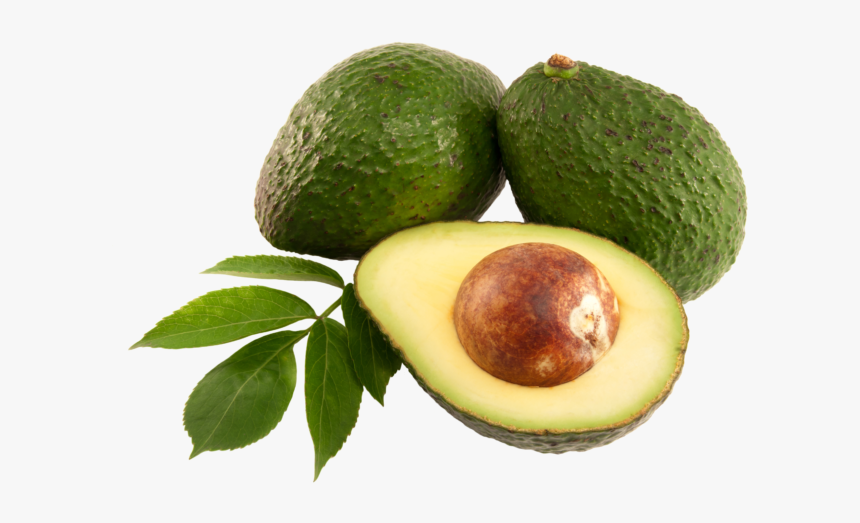 Fino Avocado, HD Png Download, Free Download