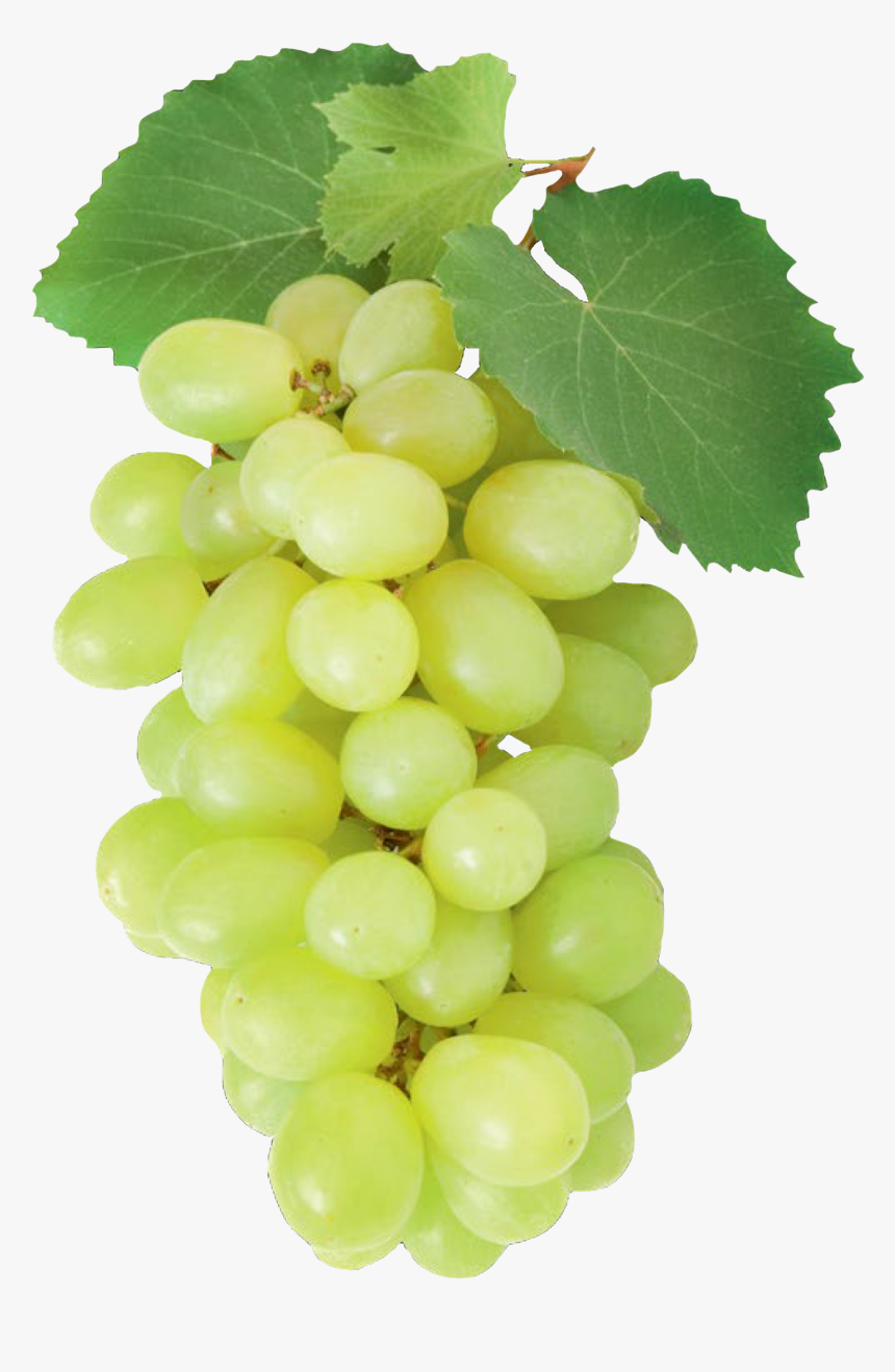 Victoria - Afus Ali Grape, HD Png Download, Free Download