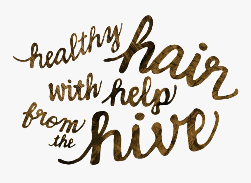 Burts Bees Typography - Calligraphy, HD Png Download, Free Download