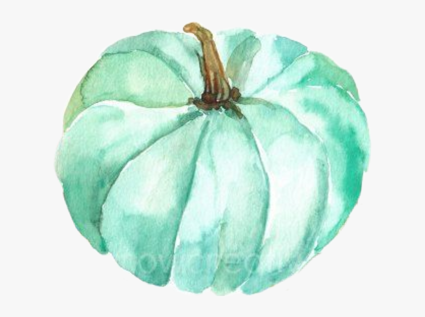 #pumpkin #teal #watercolor #halloween #thanksgiving - Pattypan Squash, HD Png Download, Free Download