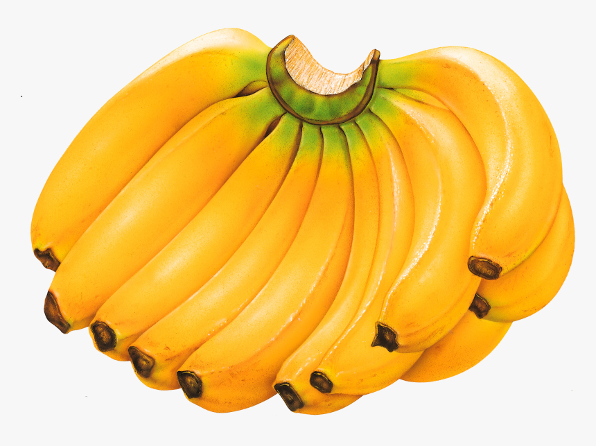 Banana, Foods That Crush Sleep Apnea You Know These - Banana Picture Of Fruits, HD Png Download, Free Download
