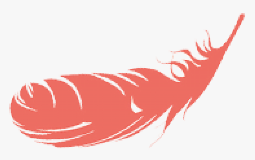 Red Feather Nobg - Illustration, HD Png Download, Free Download