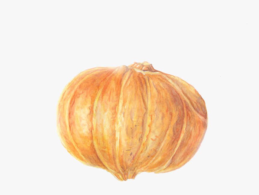 Pumpkin, HD Png Download, Free Download