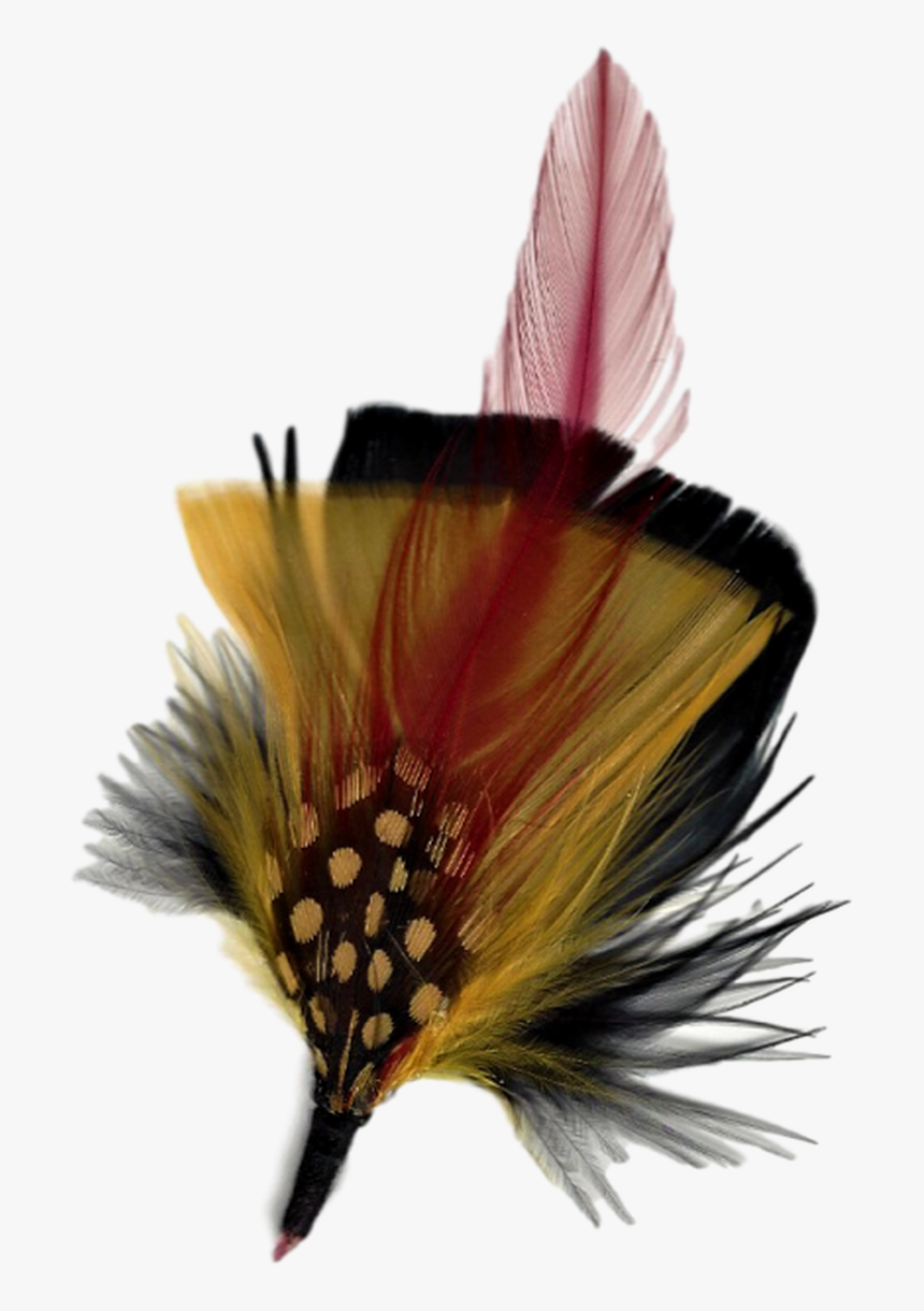 Hat Feathers - Hatfeathers, HD Png Download, Free Download