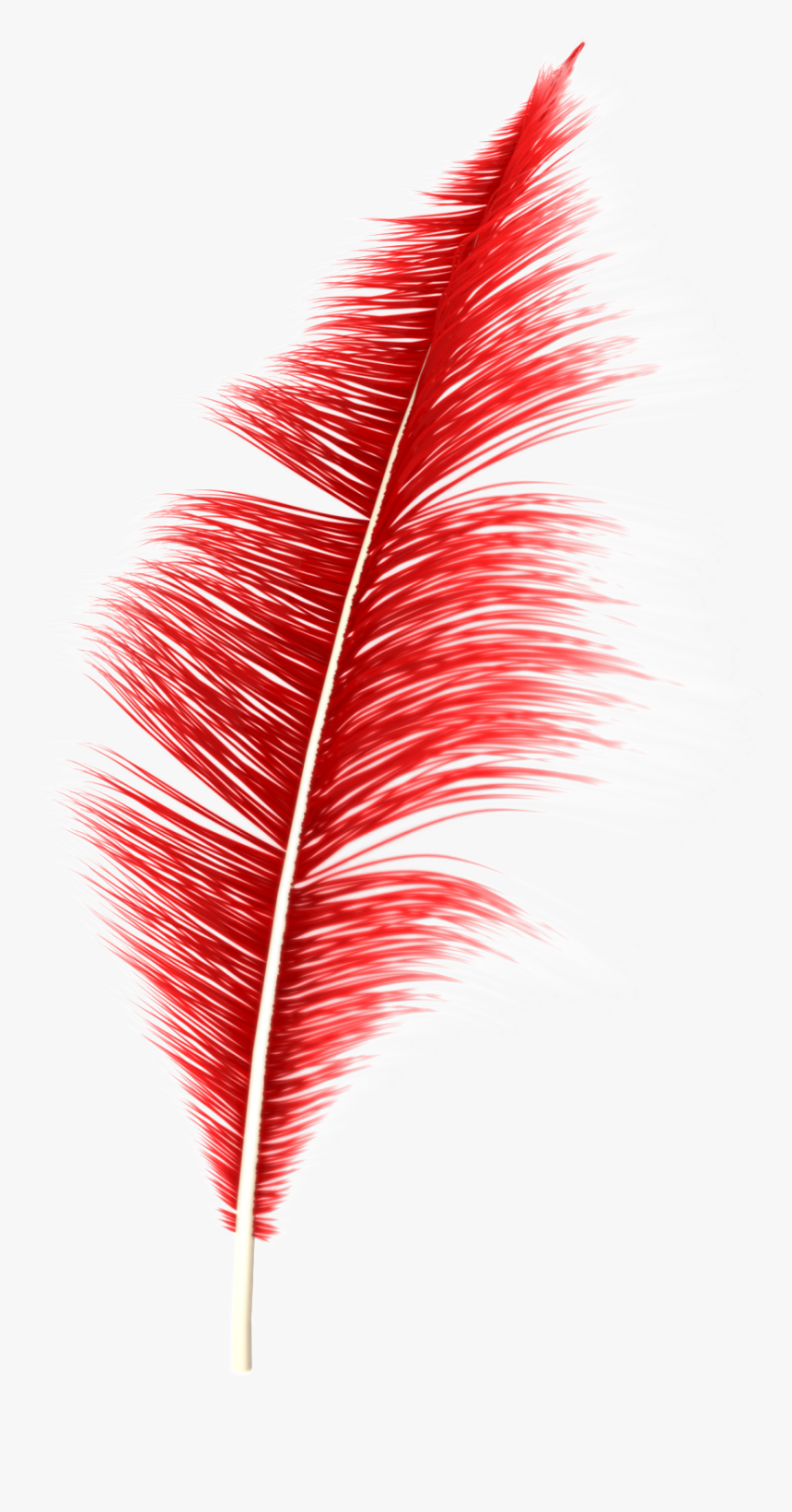Dream Feather Png - Tree, Transparent Png, Free Download