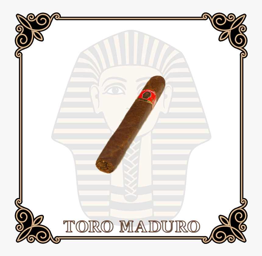 Cigar Toro Maduro - Tour For Muggles Logo, HD Png Download, Free Download