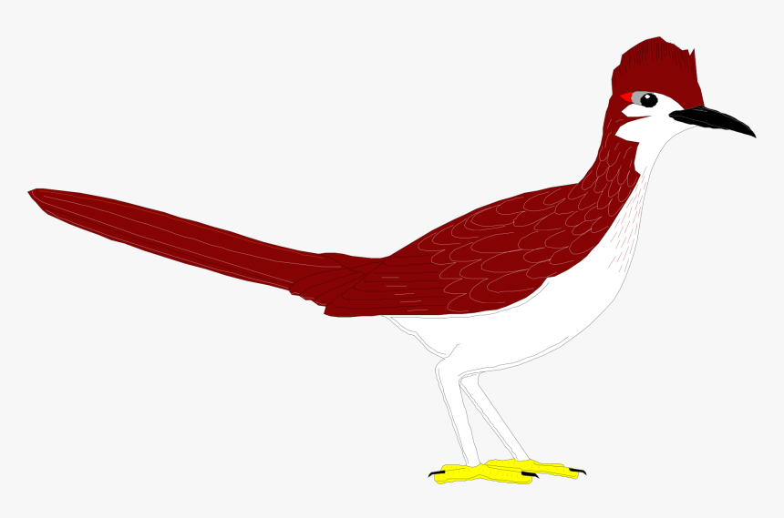 Coyote And The Road Runner Clip Art - Roadrunner Bird Clipart Running, HD Png Download, Free Download