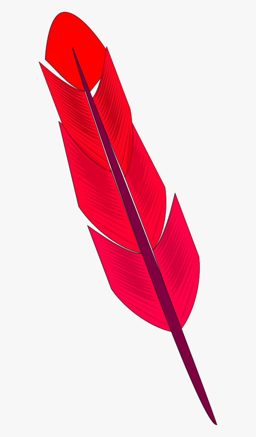 Red Feather - Colorfulness, HD Png Download, Free Download