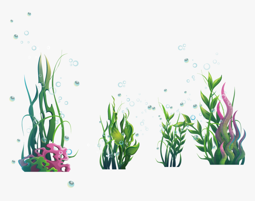 Algae Plant Seaweed Ocean - Transparent Background Seaweed Clipart, HD Png Download, Free Download