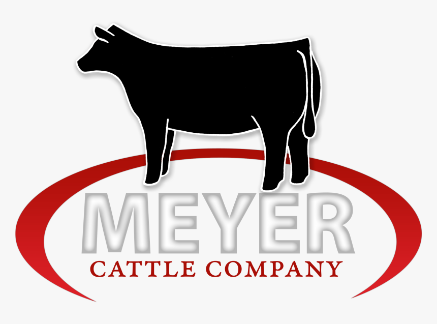 Meyer Cattle - Cattle Company, HD Png Download, Free Download