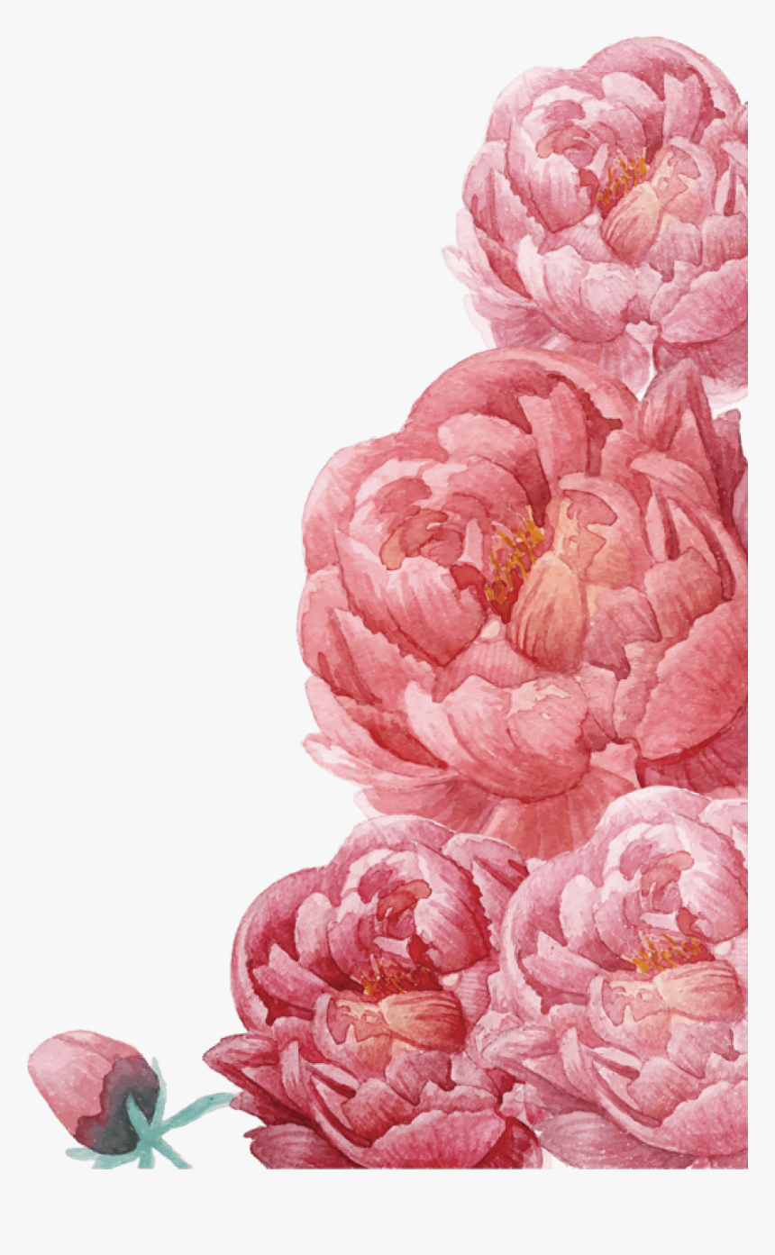 Clip Art Peonies Flowers, HD Png Download, Free Download