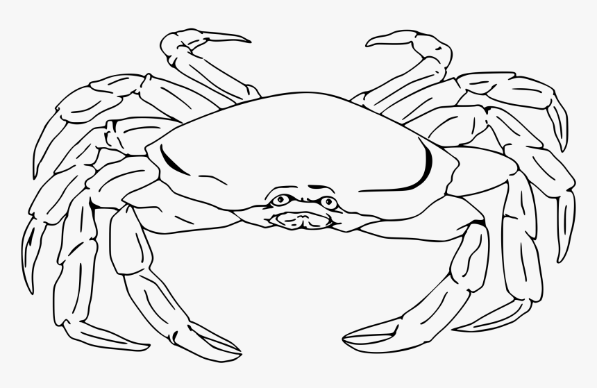 Semi-realistic Crab Clip Arts - Crab Png Black And White, Transparent Png, Free Download