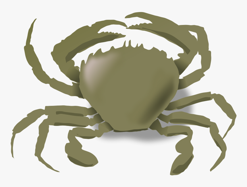 The Crab Svg Clip Arts - Animals Live In Water And Land, HD Png Download, Free Download