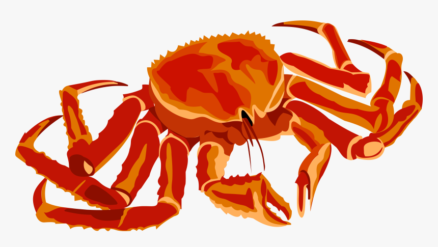 Clipart Fish Crab - King Crab Png, Transparent Png, Free Download