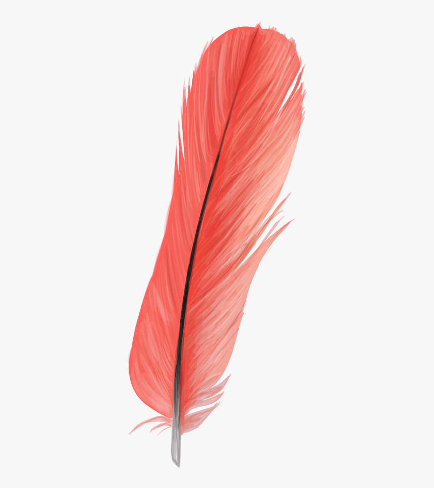 Feather, HD Png Download, Free Download