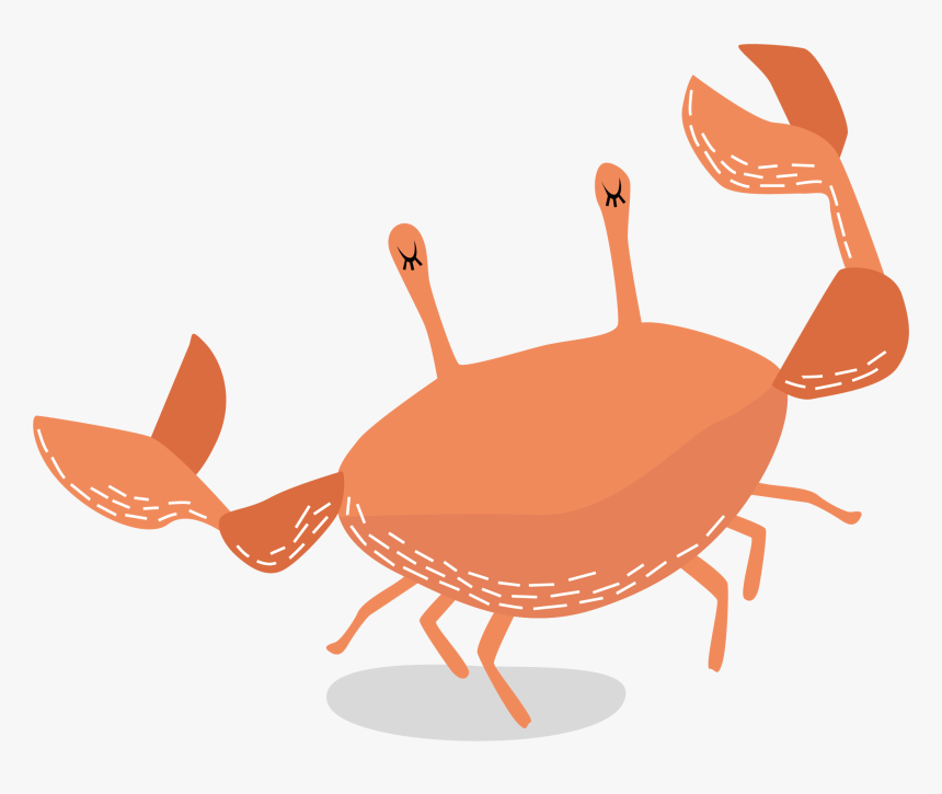 Dungeness Crab Illustration - Crab Illustration, HD Png Download, Free Download