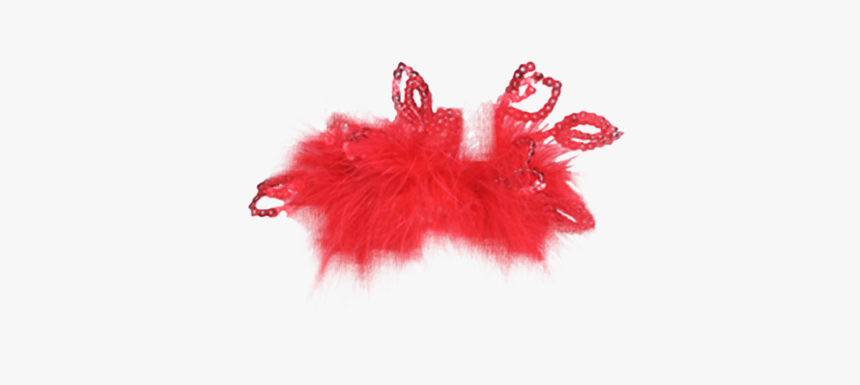 Red Feather Transparent, HD Png Download, Free Download