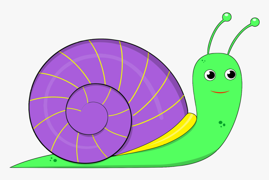 Leaf,snail,area - Snail Clipart, HD Png Download, Free Download