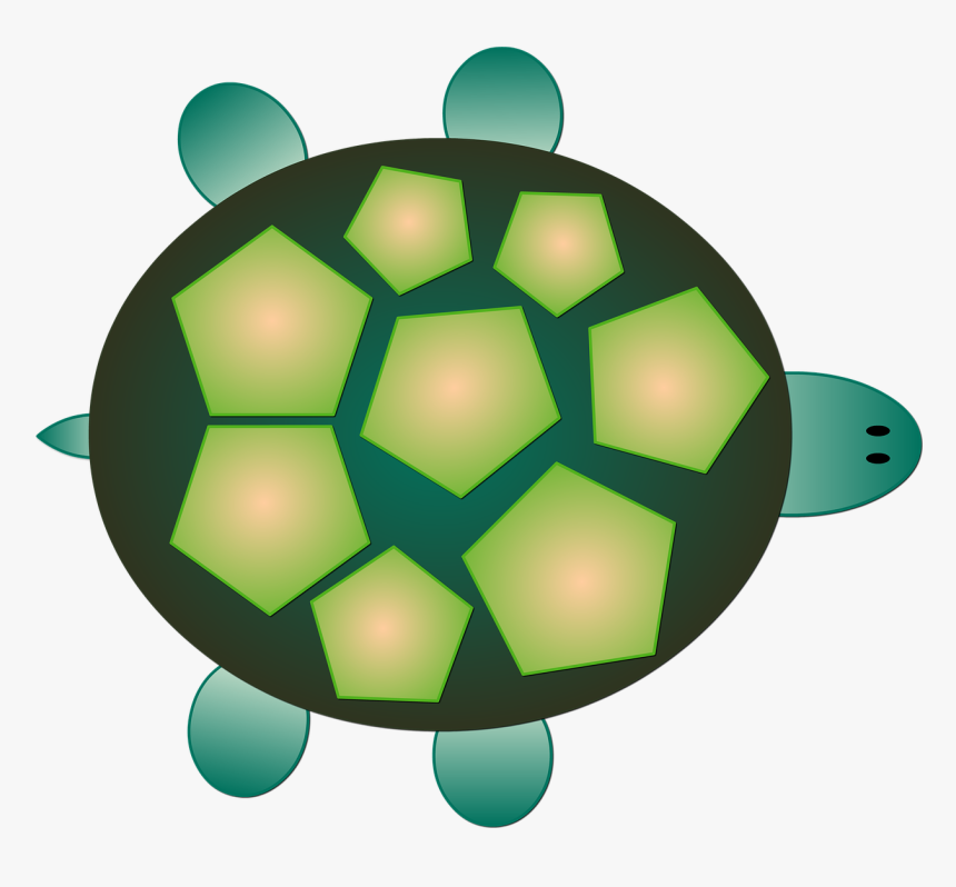 Reptile Clipart Sea Turtle - Turtle, HD Png Download, Free Download