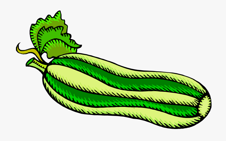 Digger Street Zucchini Clipart - Zucchini Coloring Page, HD Png Download, Free Download