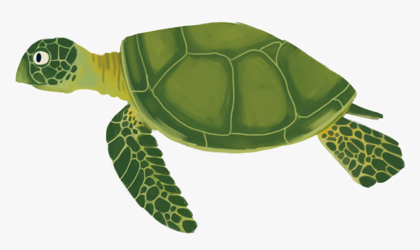 Transparent Sea Plant Png - Sea Turtle Cartoon Transparent, Png Download, Free Download