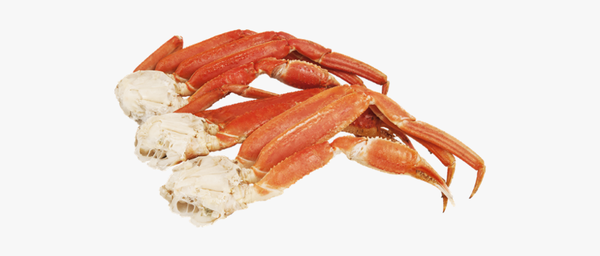 Snow Crab Cluster Png, Transparent Png, Free Download