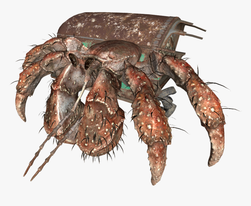 Fallout 4 Hermit Crab , Png Download - Fallout 4 Albino Hermit Crab, Transparent Png, Free Download