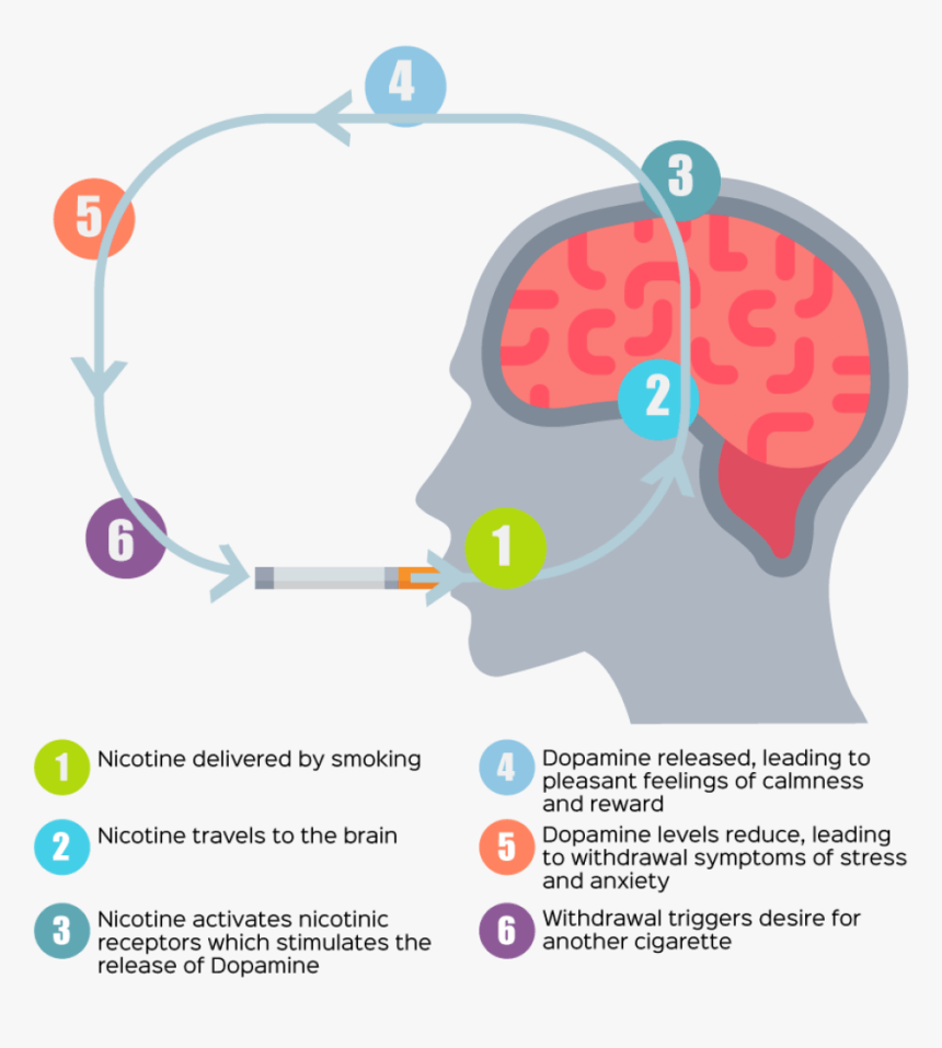 Nicotine Withdrawal Symptoms Graphic, HD Png Download, Free Download