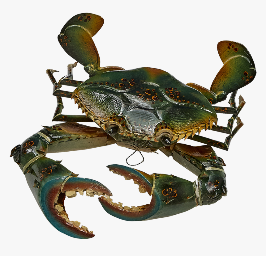 Transparent Blue Crab Png - Chesapeake Blue Crab, Png Download, Free Download