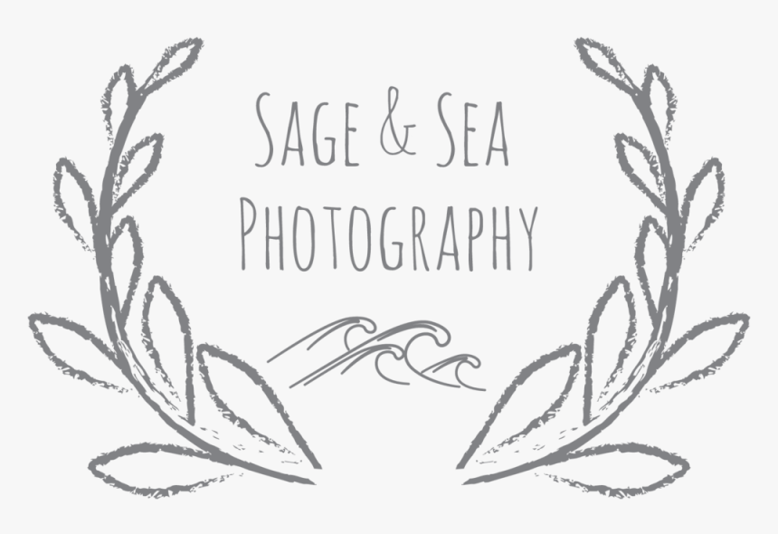 Sea Plant Png, Transparent Png, Free Download
