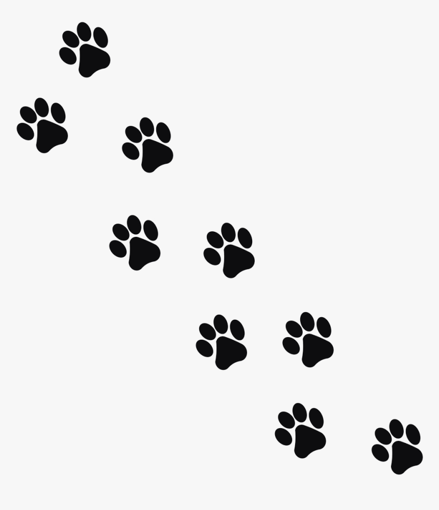 Footprint Animal Cat Png Image Animal Footprints Png - Transparent Cat Paw Print, Png Download, Free Download