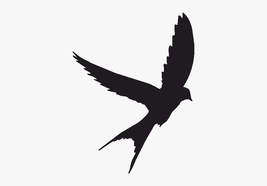 Bird Swallow Tattoo Sparrow The Sims - Scissor Tailed Flycatcher Silhouette, HD Png Download, Free Download