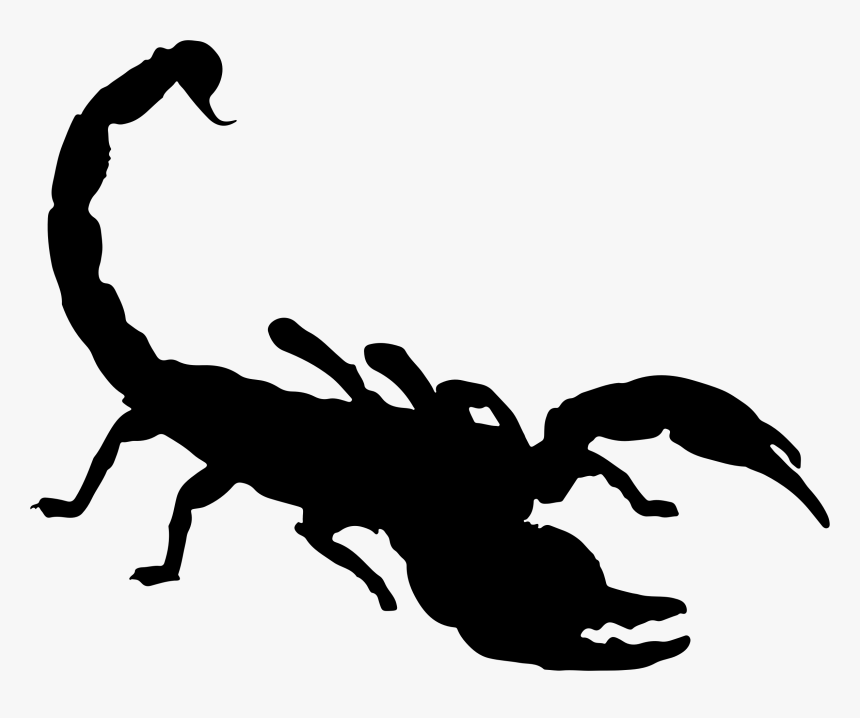 Scorpion Png, Transparent Png, Free Download