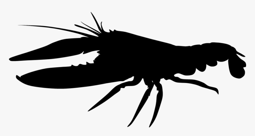 Transparent Maine Coon Cat Clipart - Lobster Silhouette No Background, HD Png Download, Free Download