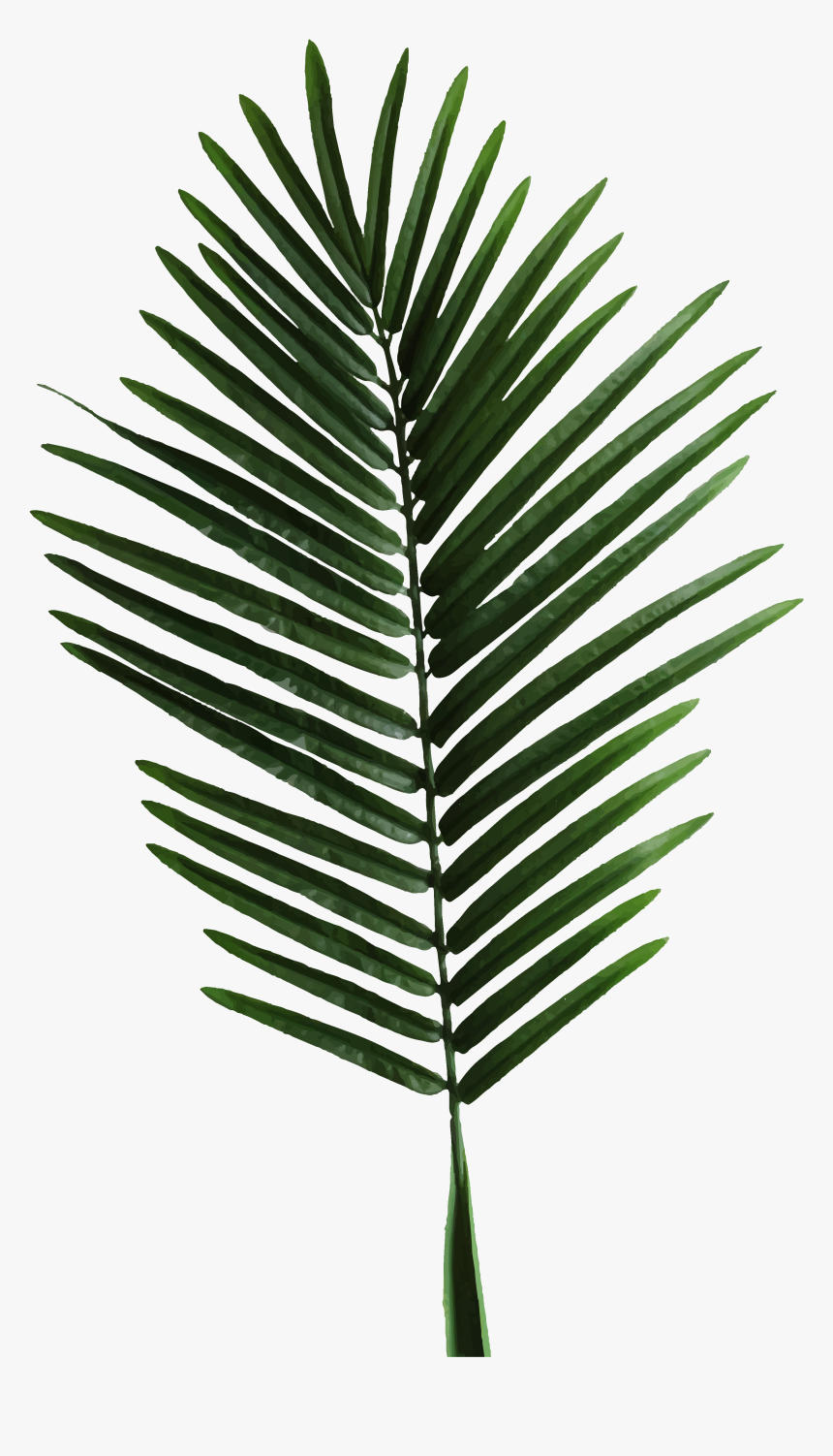 Transparent Palm Tree Border Png - Minimalist Diys, Png Download, Free Download