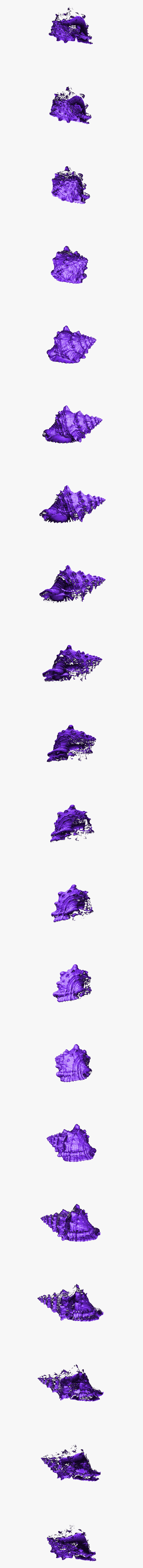 Purple Shell Png, Transparent Png, Free Download