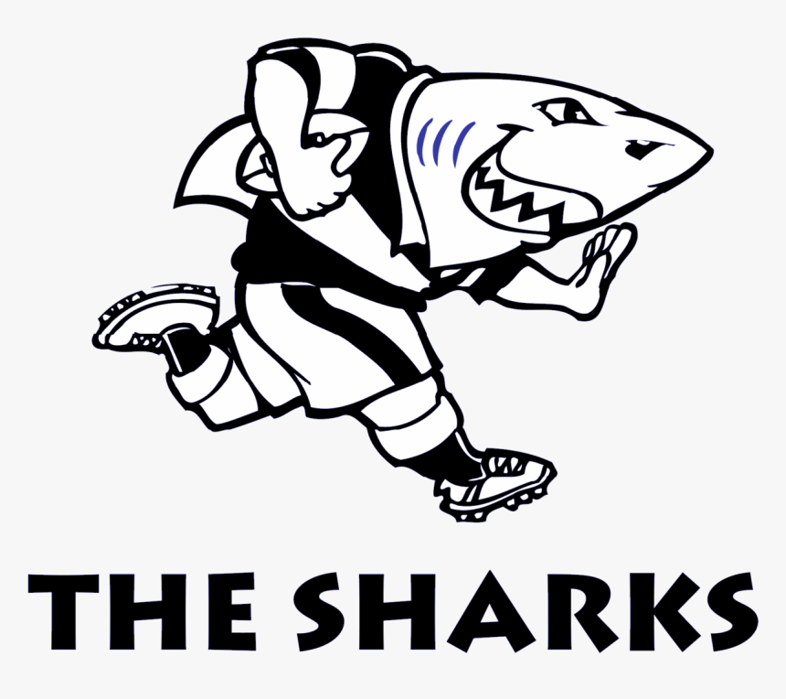 Sharks Rugby Logo, HD Png Download, Free Download