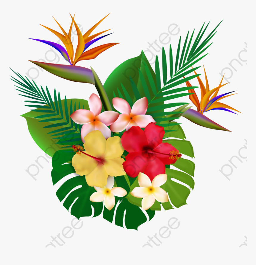 Tropical Plants, Plants Clipart, Flowers Png Transparent - Plantas Tropicales Png, Png Download, Free Download