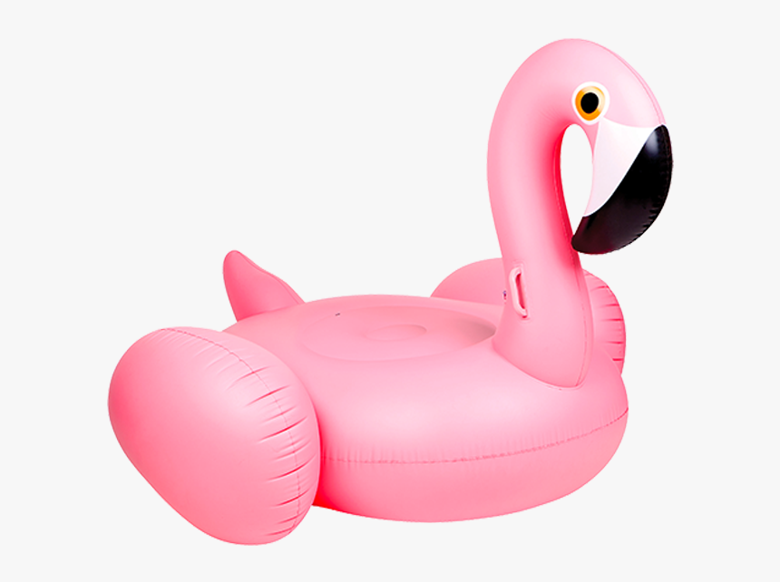 Flamingo Float, HD Png Download, Free Download