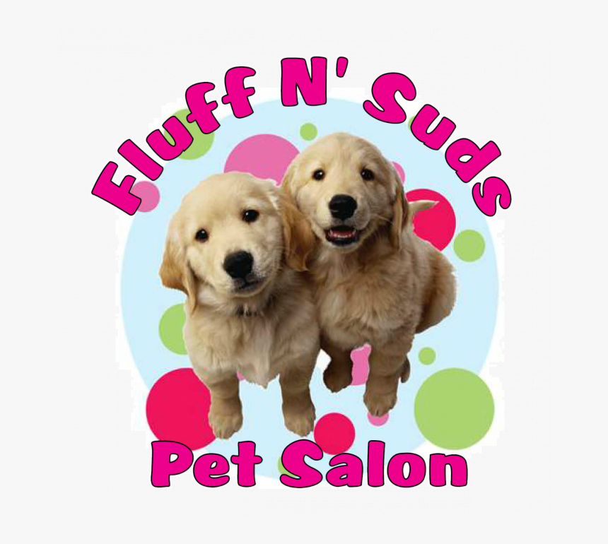 Fluff N Suds Pet Salon In Benton Harbor - Golden Retriever, HD Png Download, Free Download