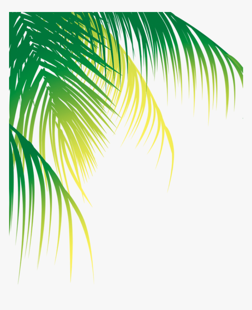 #ftestickers #greenery #tropicalplants #palmtree #border - Coconut Leaves Vector Png, Transparent Png, Free Download