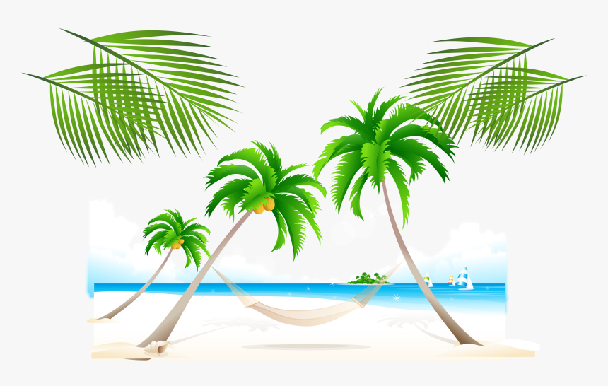 Palm Trees On The Beach, HD Png Download, Free Download