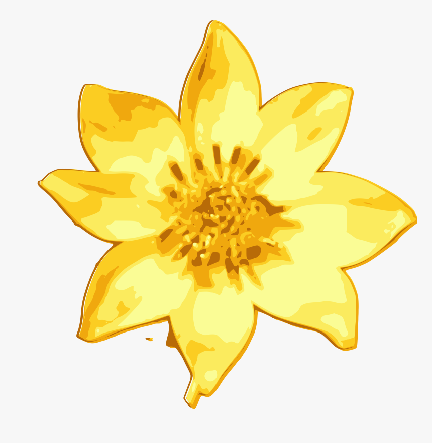 Daisy Clipart Flores - Ethiopian New Year Flower Vector, HD Png Download, Free Download