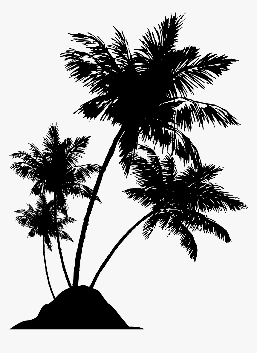 Transparent Palm Trees Clipart - Beach Palm Tree Silhouette, HD Png Download, Free Download