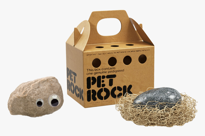 Pet Rock, HD Png Download, Free Download