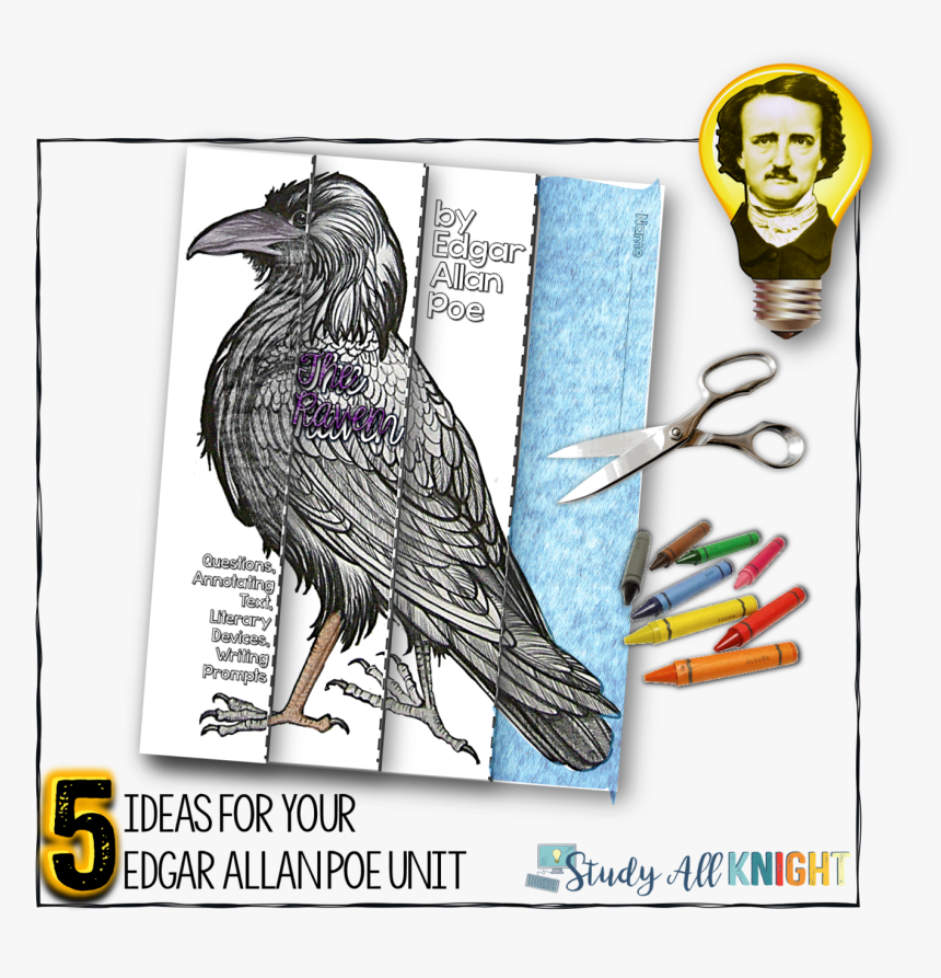 Ideas For Teaching An Edgar Allan Poe Unit In Middle - American Crow, HD Png Download, Free Download