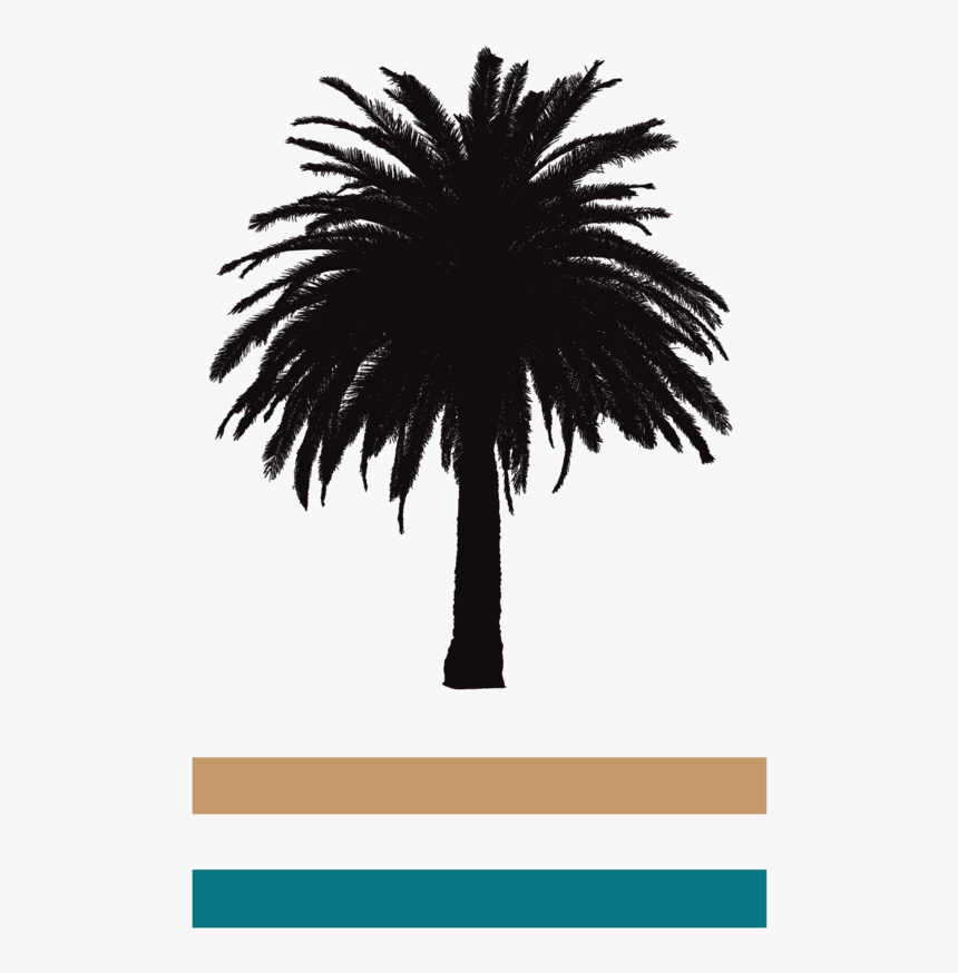 Palm Tree Border Png, Transparent Png, Free Download